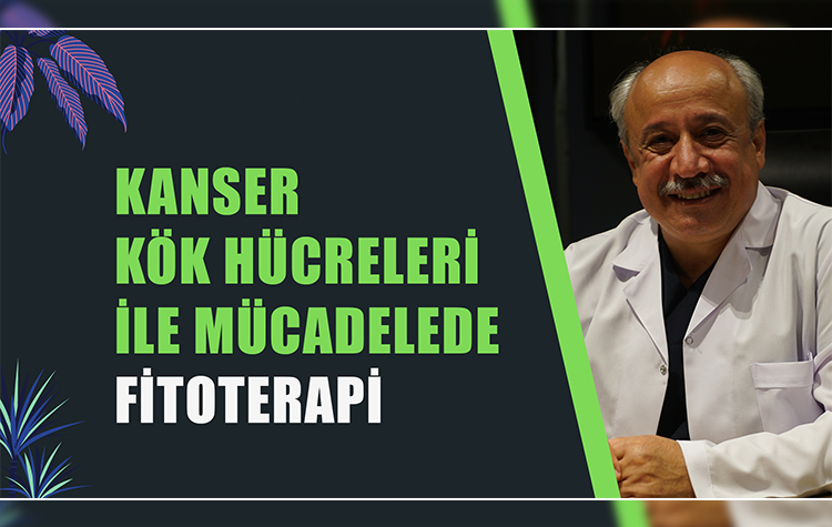 Kanser kök hücreleri ile mücadelede Fitoterapi 6