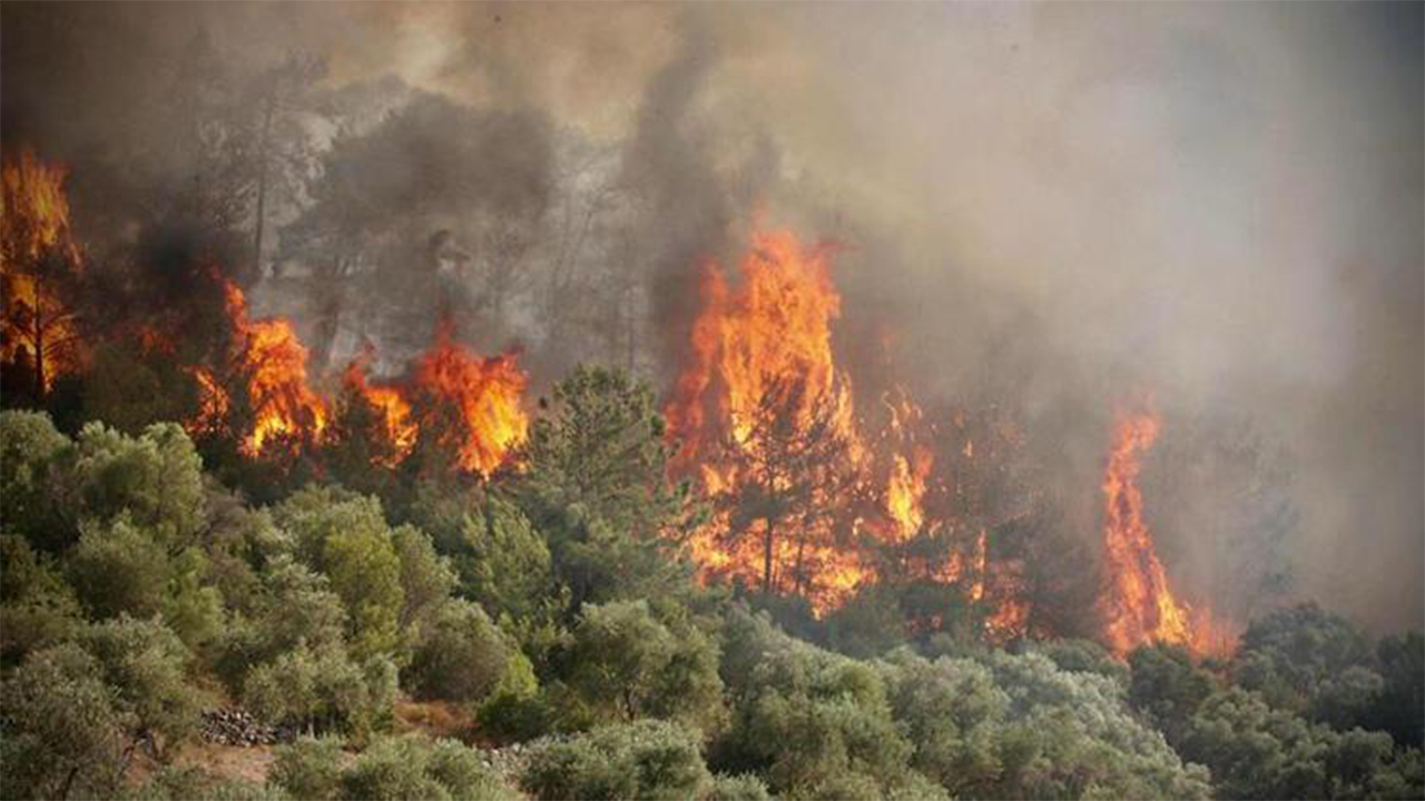 Yangınlar sönse de dumanın etkisi sürüyor! 6