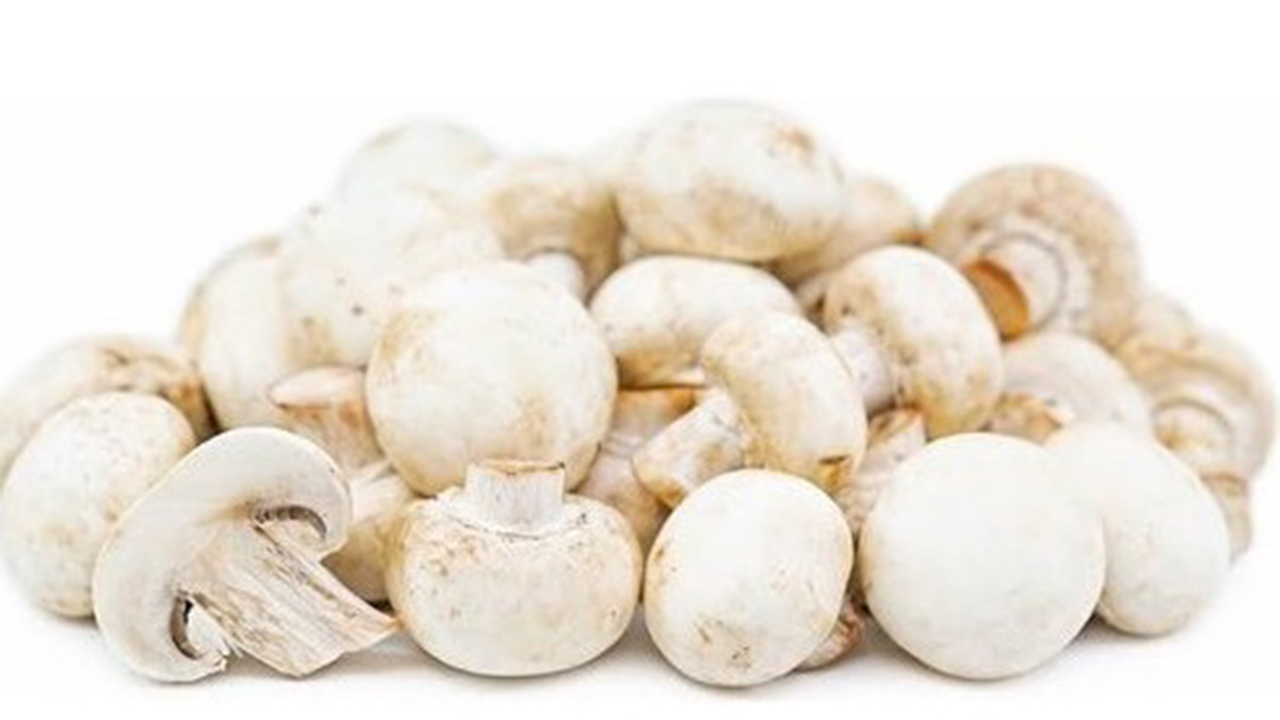 Mantarın bilinmeyen faydaları 7