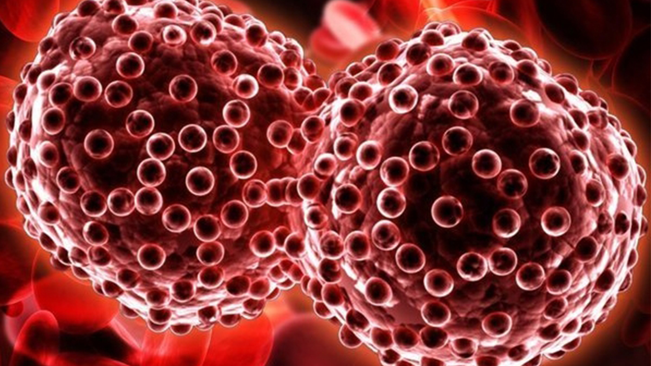 Hepatit Konusunda Yeterince bilgili misiniz? 6