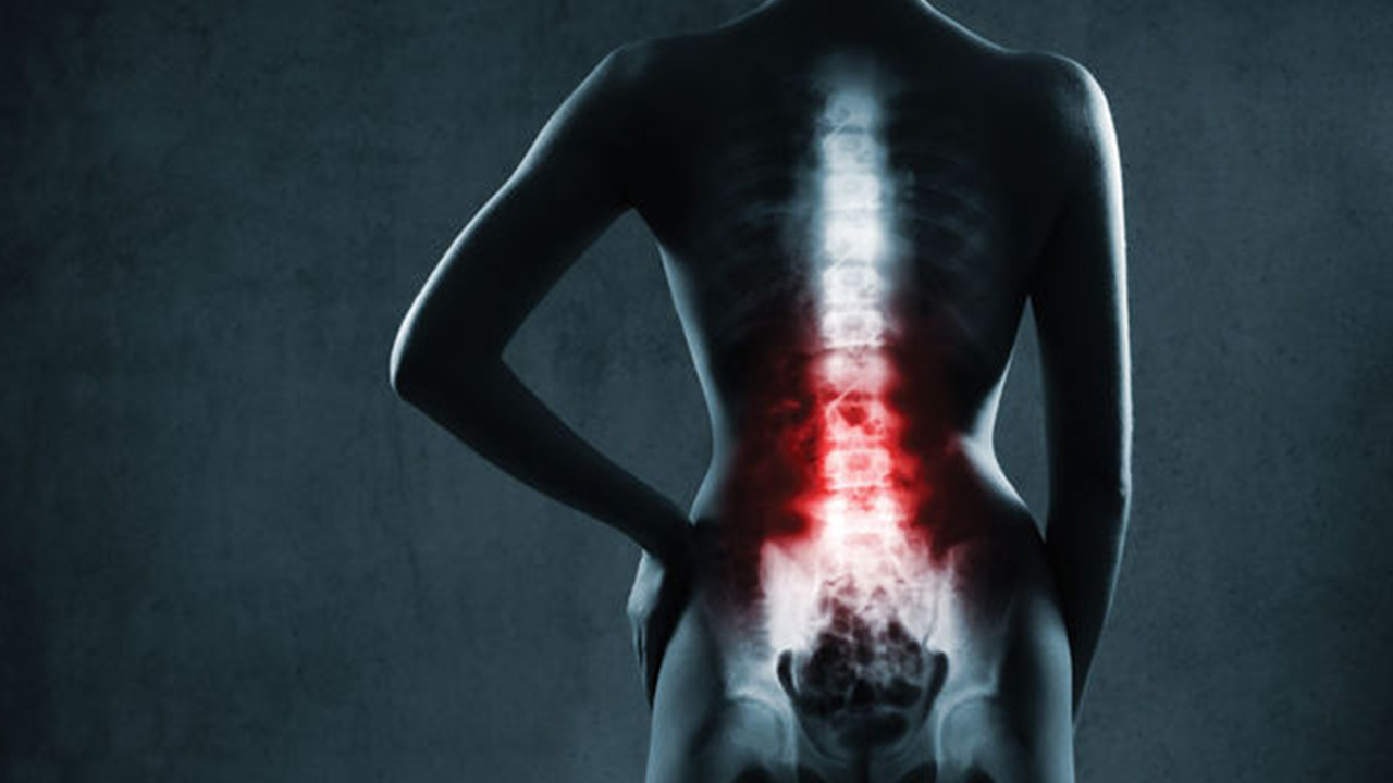 Evden çalışırken Omurga sağlığınızdan olmayın! 6