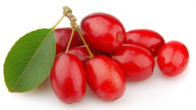 Kızılcığın faydaları nelerdir ? 1