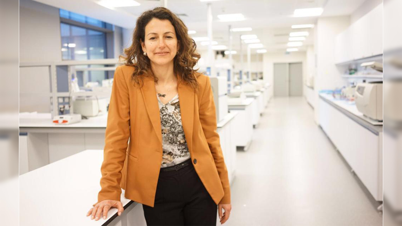 Gelişmekte olan ülkelerde düşük Sosyoekonomik durum Obezite için risk faktörü 6