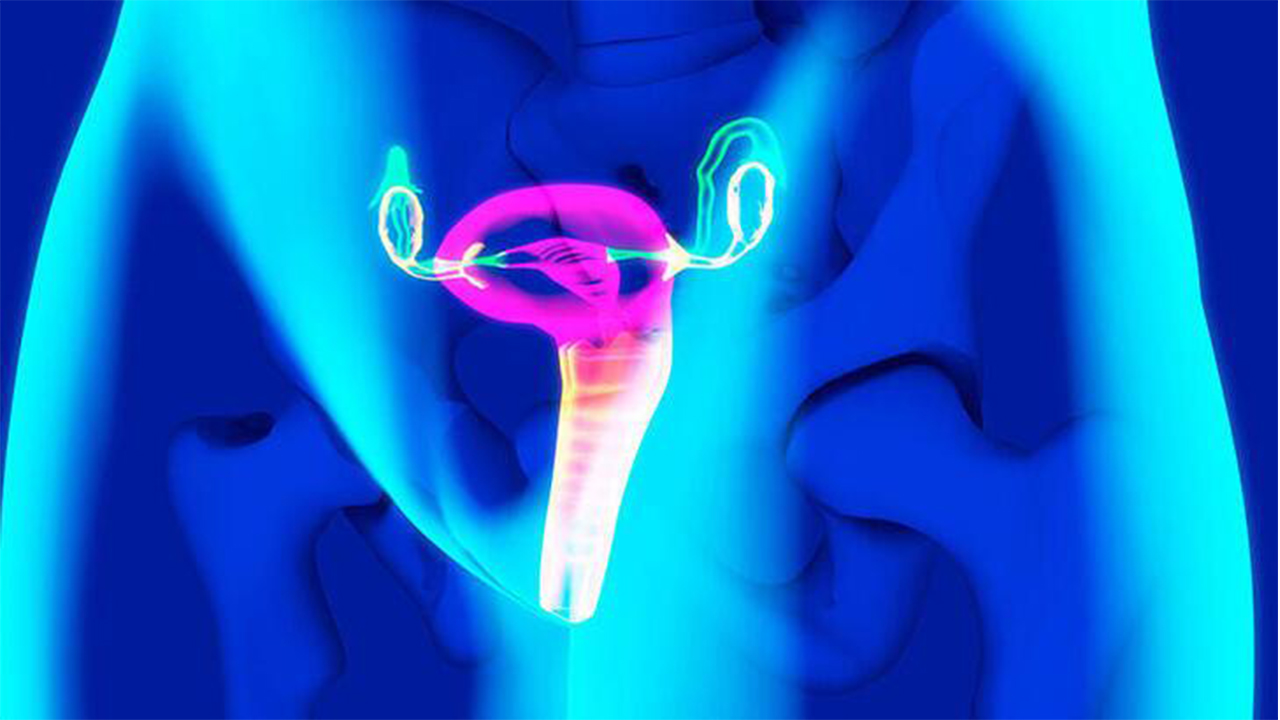 T Rahim Hamileliğe engel mi? 7