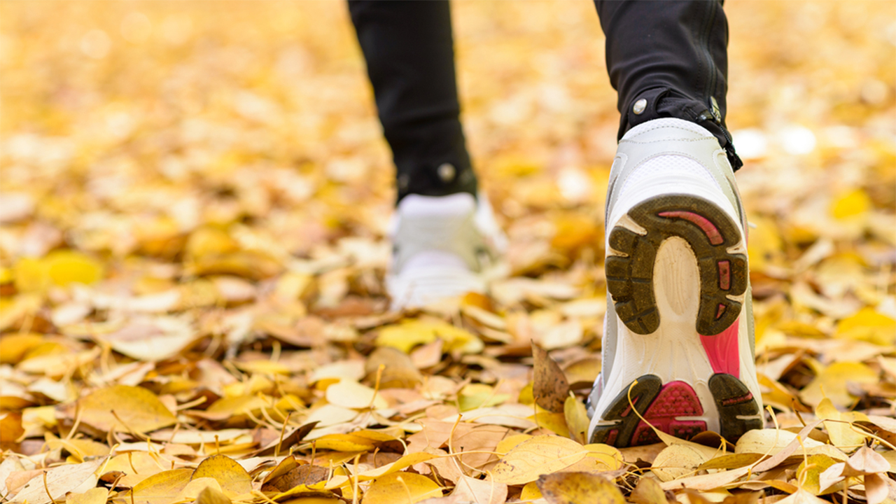 Bu sorular sağlığınıza ışık tutuyor! 7