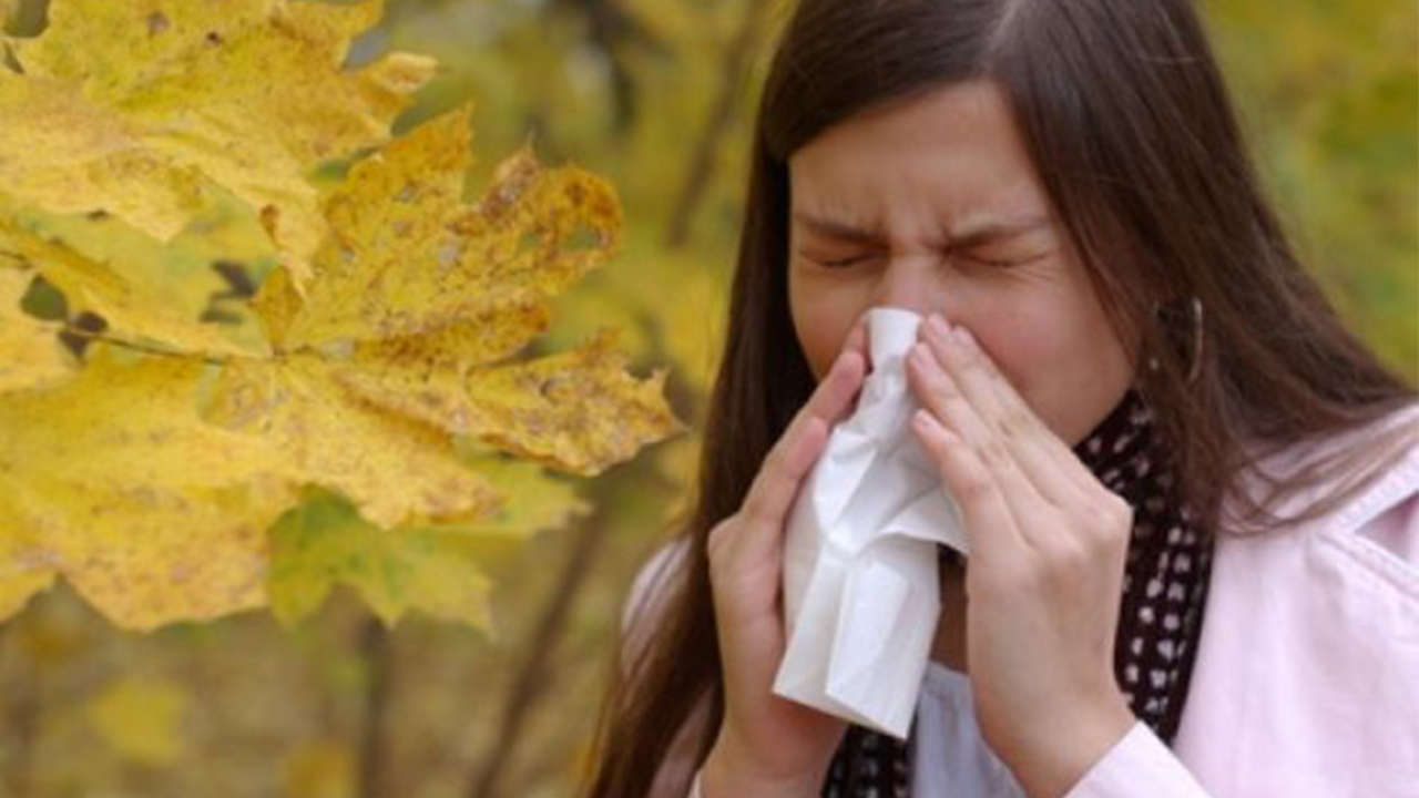 Mevsim Geçişlerinde Kapalı Mekanlarda Fazla Vakit Geçirmek Bağışıklığı Düşürüyor 6