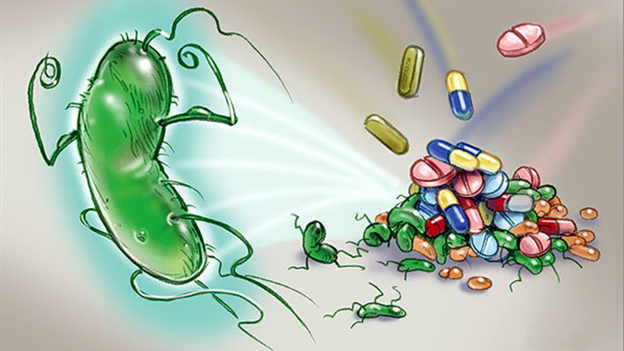 Farkındalığı Yay, Direnci Durdur! 7