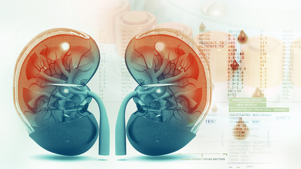 Böbrek Nakli Sonrası ilaç kullanımına dikkat! 7