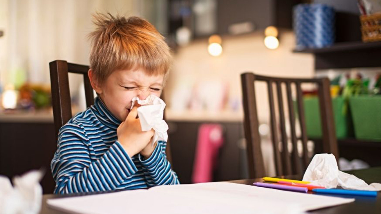 Geçmeyen Burun Akıntısının nedeni Grip değil Alerji olabilir 6