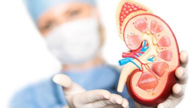 At nalı böbrek uğur getirmez, üstelik sorunlara yol açabilir! 1