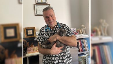 Evcil hayvanınızı hasta edebilir misiniz? 1