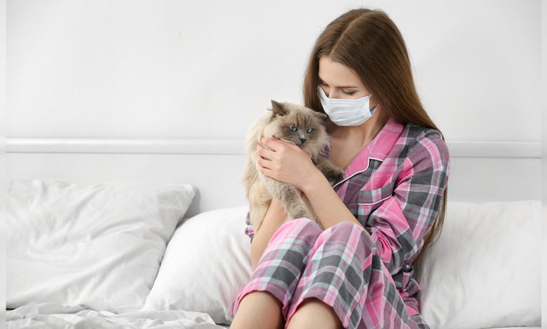 Alerjisi olanlar için Kedili bir hayat mümkün 1