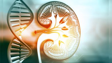 Kalıtsal Böbrek Hastalıkları yeterince tanınmıyor! 1