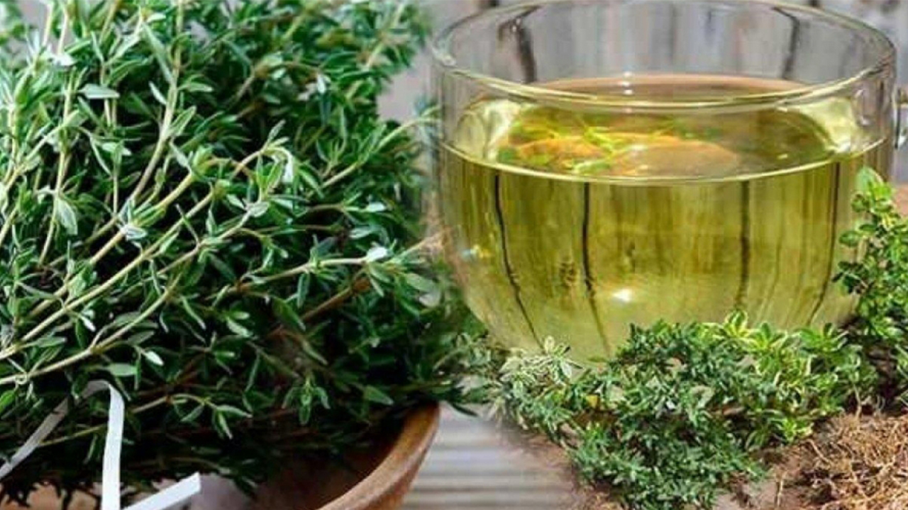 Kekik nedir? Faydaları nelerdir? 7