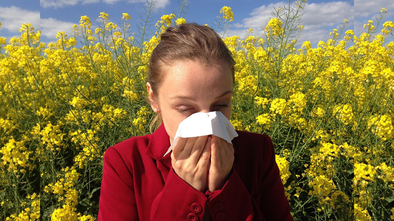 Tedavi edilmeyen saman nezlesi başka hastalıklara zemin hazırlıyor! 7