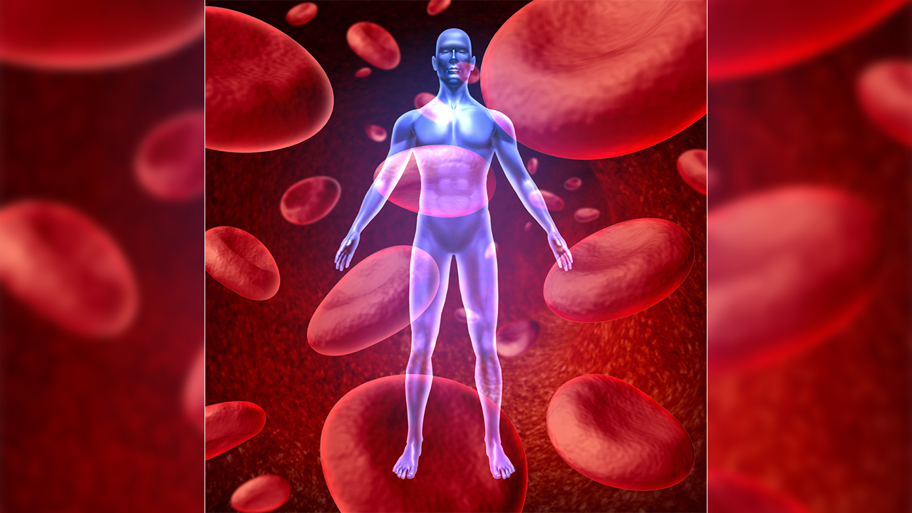 Talasemi Kök hücre nakli ile tedavi edilebiliyor! 7