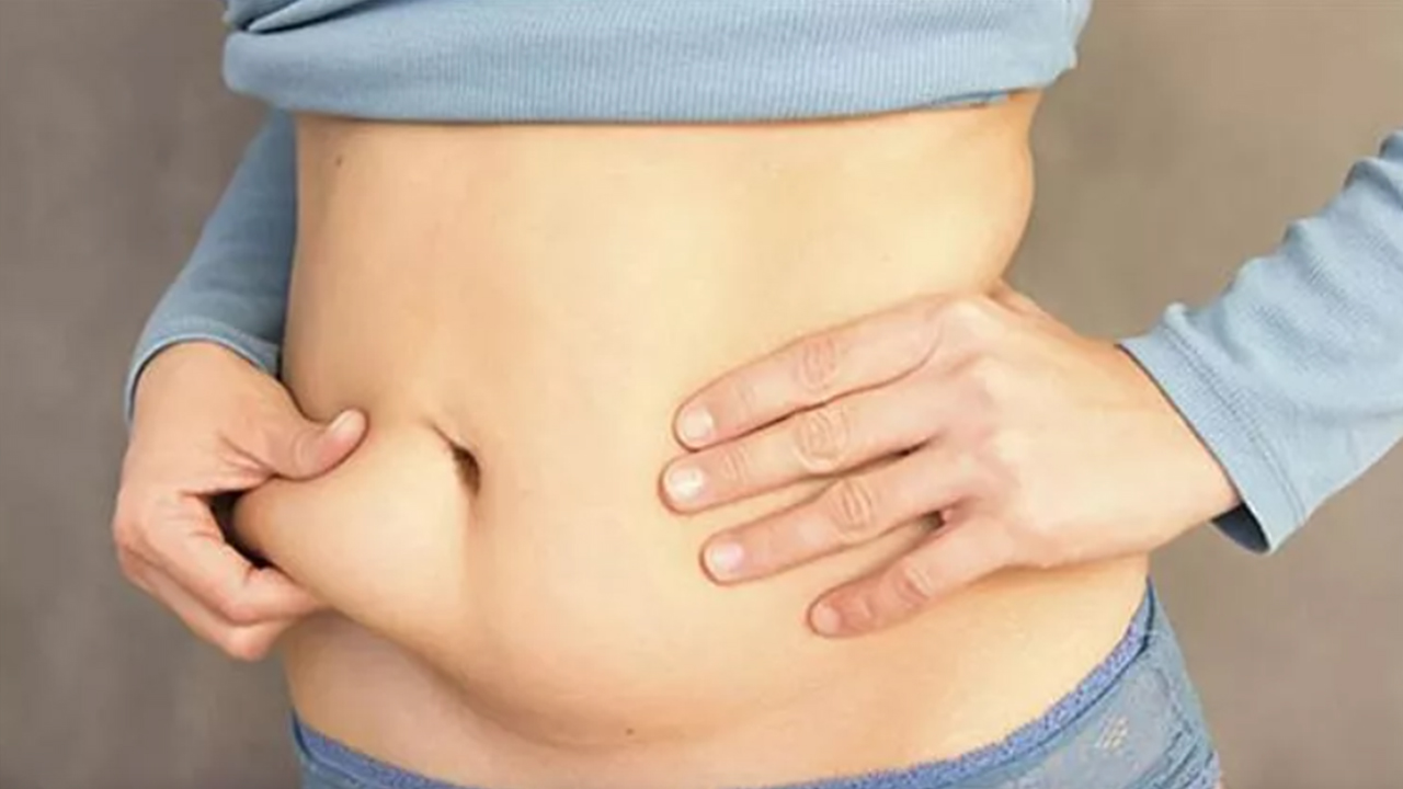 Diyet yapıp Kilo veremiyorsanız Sorun dedeninizde olabilir 6