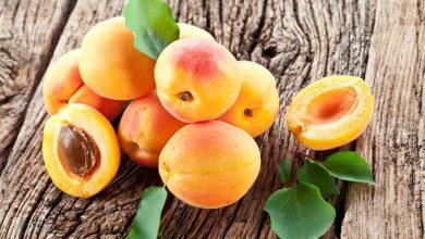 Kayısı Suyu içmek Sindirim Sistemini güçlendiriyor 13