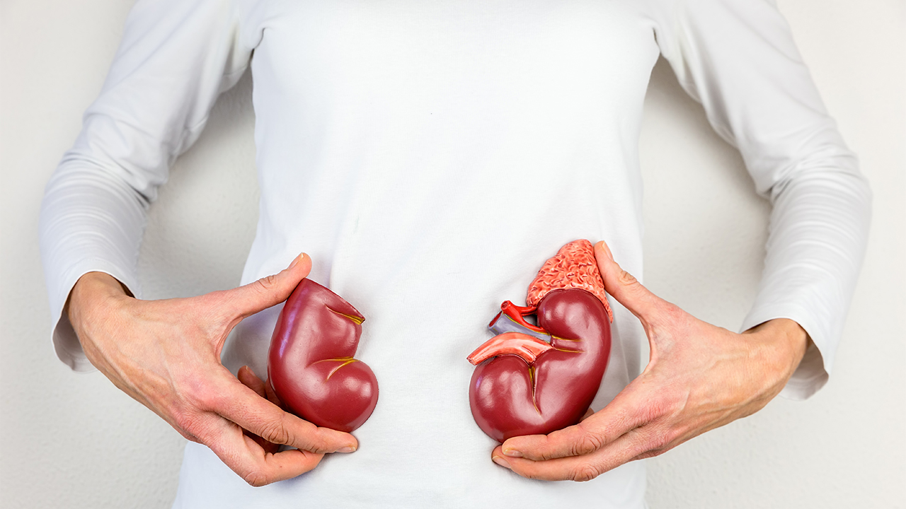 Böbrek Taşı Oluşumu ve Tedavisi 6