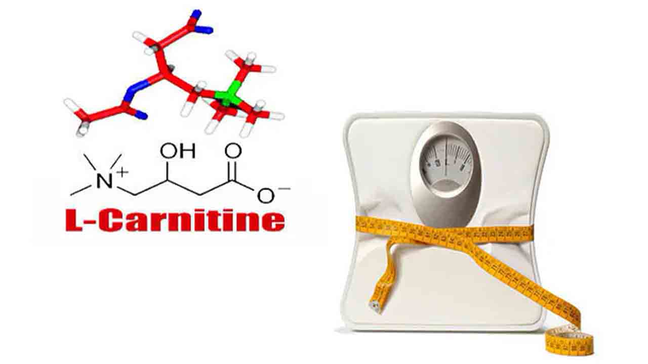 Karnitin nedir? 7