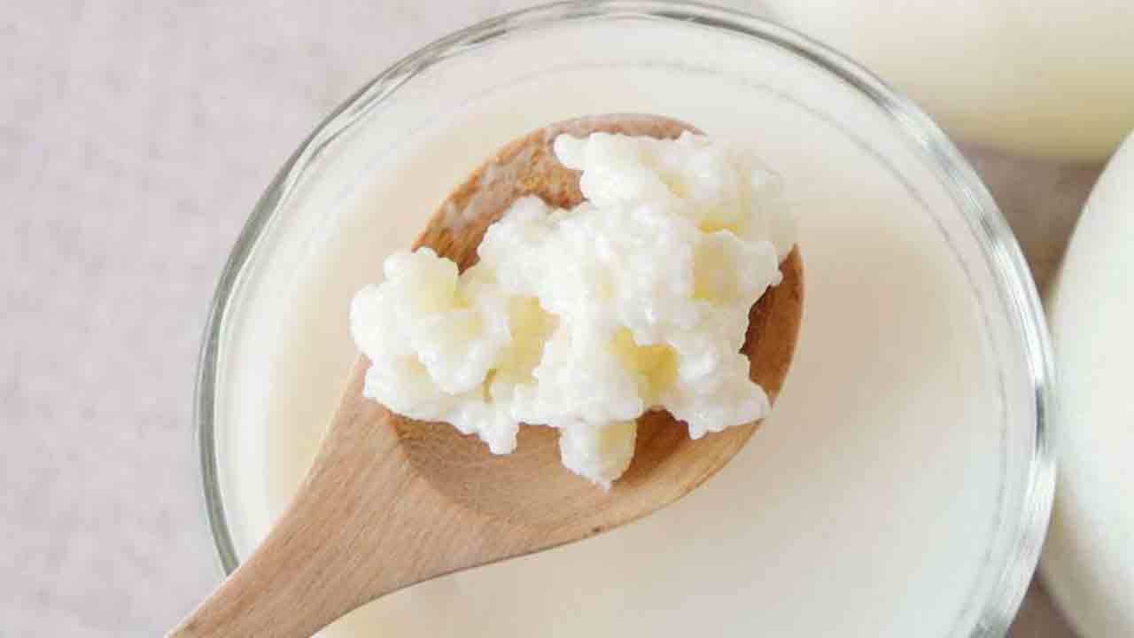 Bağırsak dostu Kefir 7