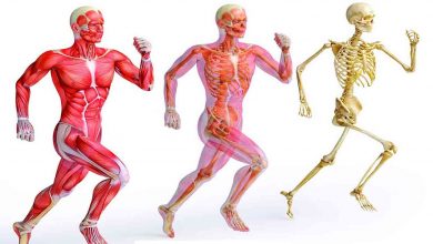 Bu tavsiyeler kas iskelet sistemi ağrılarını önleyebilir 7