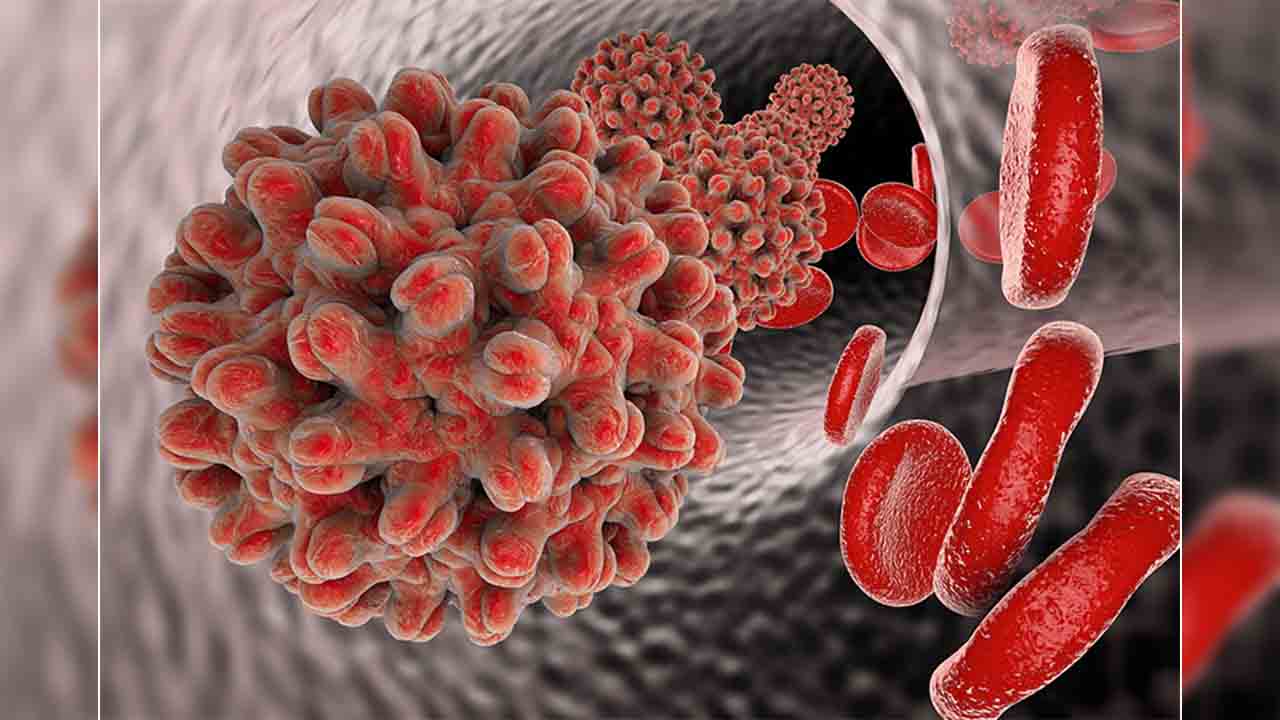 Kan ve cinsel temasla bulaşan Hepatit B ve C’ye dikkat edilmeli! 7