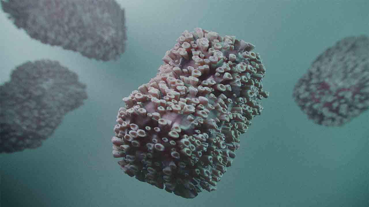 Maymun Çiçeği Virüsünü ‘Tanı’yoruz 7