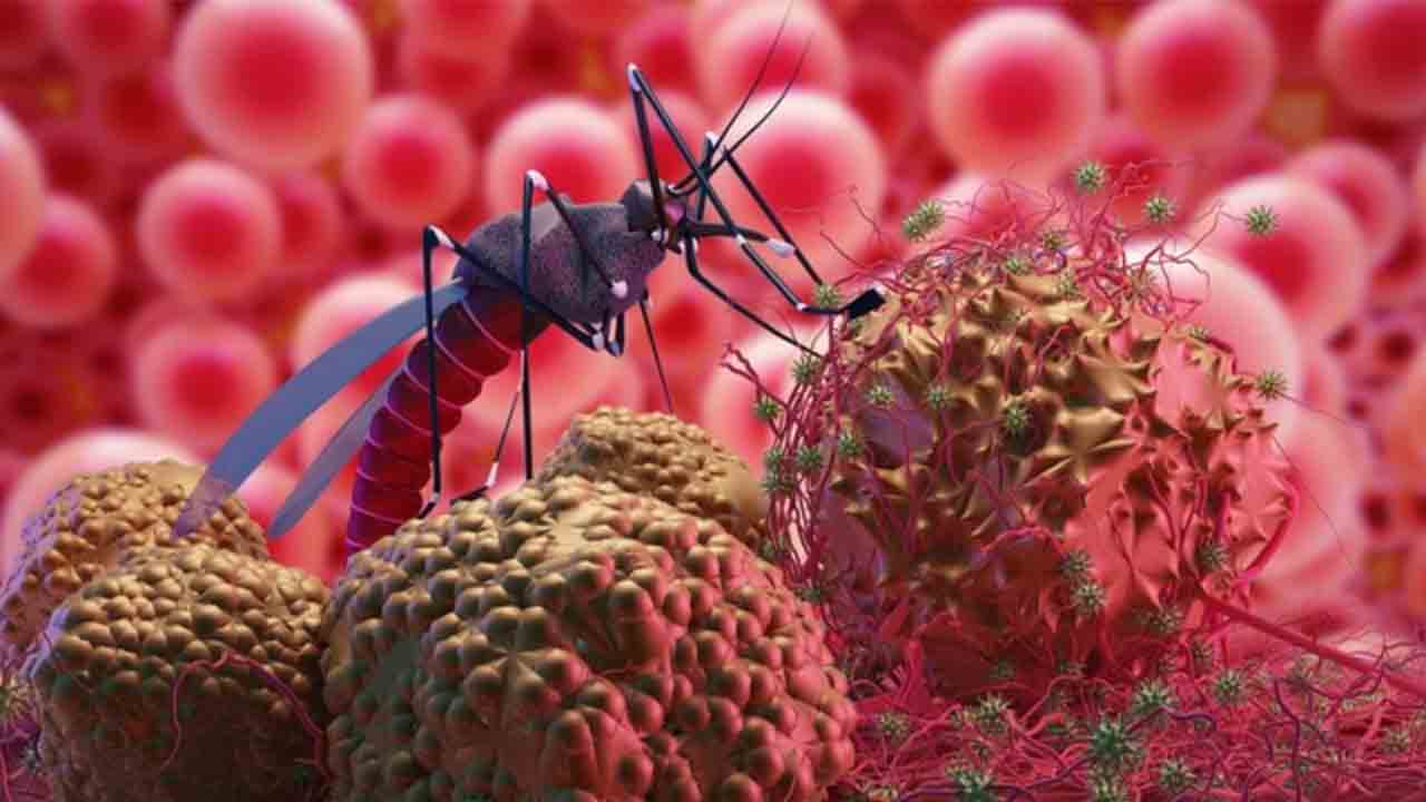 Batı Nil virüsü Enfeksiyonunun 4 belirtisine dikkat! 7