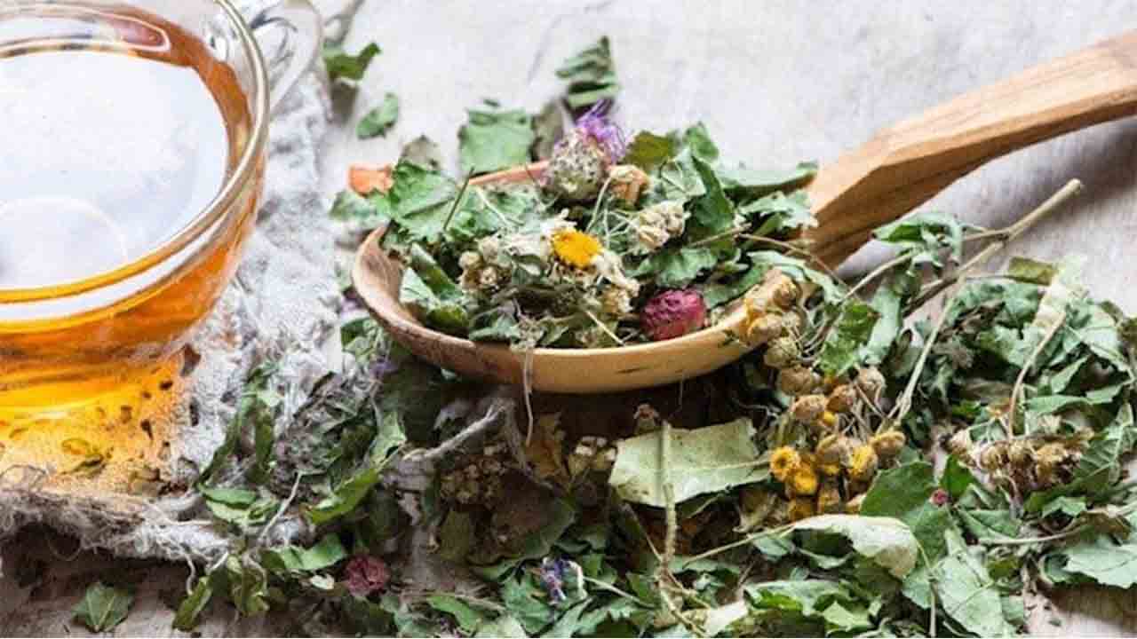 Bu Bitkiler Stresi azaltıyor! 7