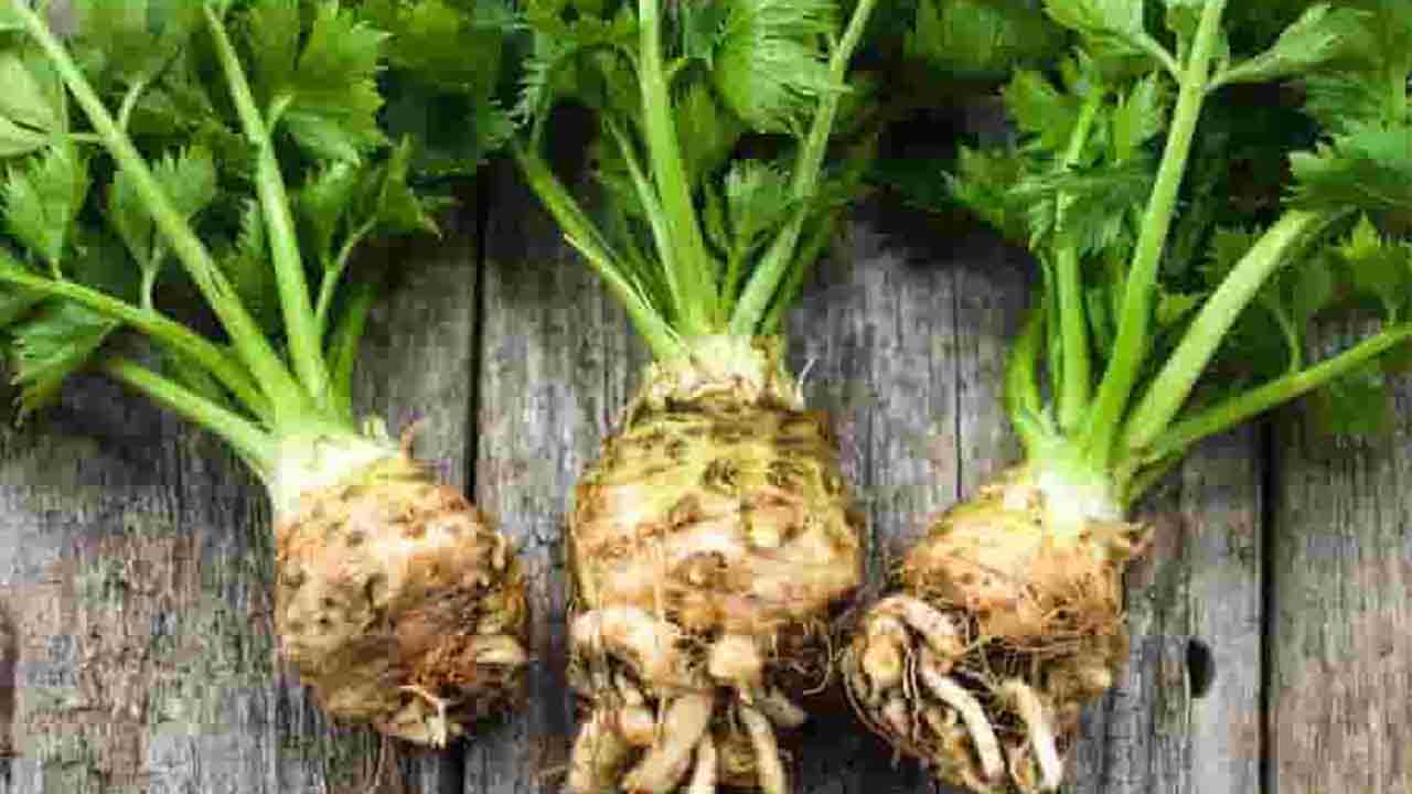 Kerevizin en önemli 5 sağlık faydası nedir? 7