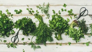 Uzmanından ağız kokusuna karşı tavsiyeler 13