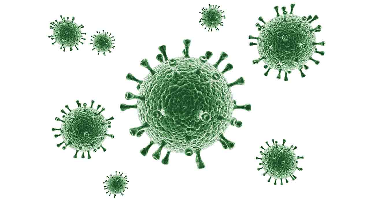 Bağışıklığınızı Güçlü tutun Enfeksiyonlardan korunun 6