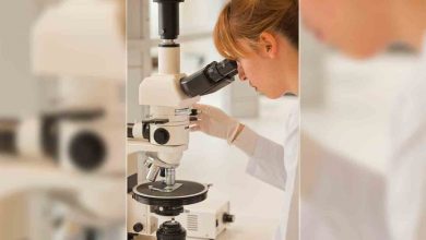 Türkiye’de yılda 234 bine yakın yeni kanser teşhisi konuyor 1