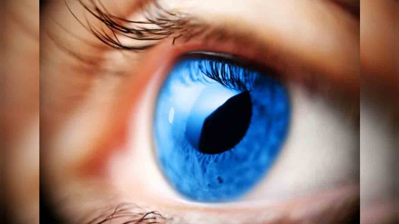 Göz sağlığı için hangi besinleri tüketilmeli ? 7