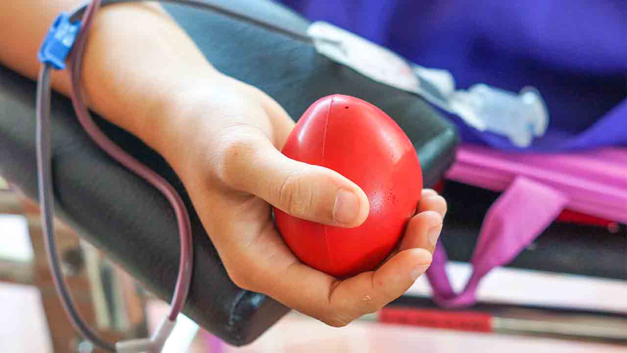 Kan Bağışı: Hayat Kurtarmak için Yapabileceğiniz En önemli şeylerden birisi 6