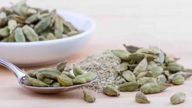 Kakulenin bilinmeyen 5 Faydası 1