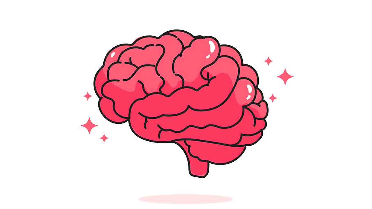 İyi Korunmuş ve Sağlıklı bir Beyine ihtiyacımız var 7