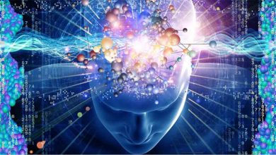 300 yaşına kadar yaşamak mümkün mü? 7