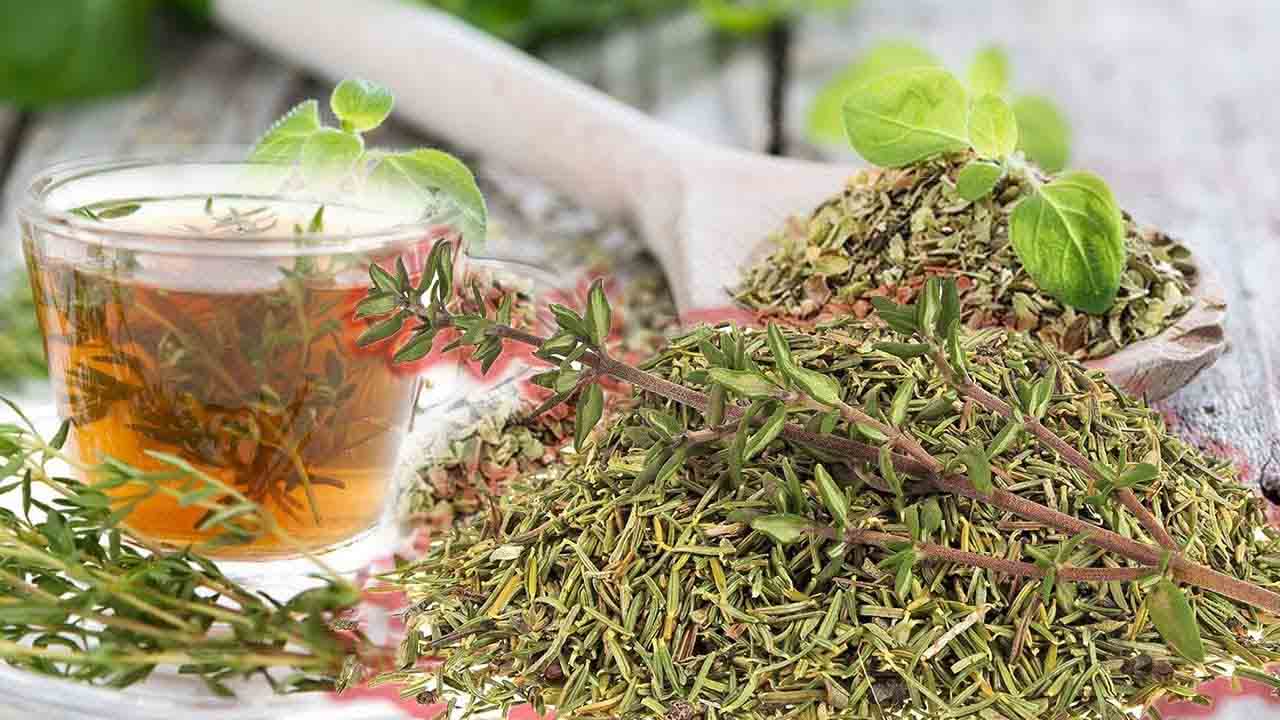 Kekik nedir ve Faydaları nelerdir? 7