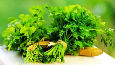 Maydanozun faydaları nelerdir? 1