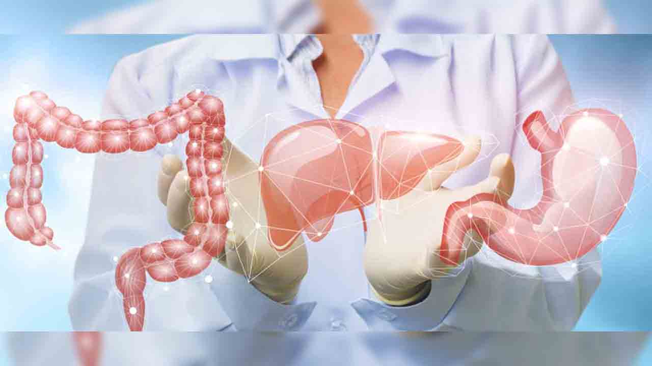 Sindirim sağlığı için işbirliği yaptılar 7