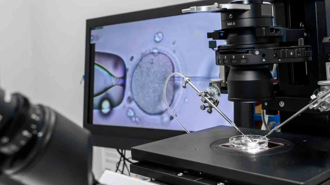 Kariyer ve Anne olma hayali bir arada: Yumurta dondurma ile kontrol sizde! 7