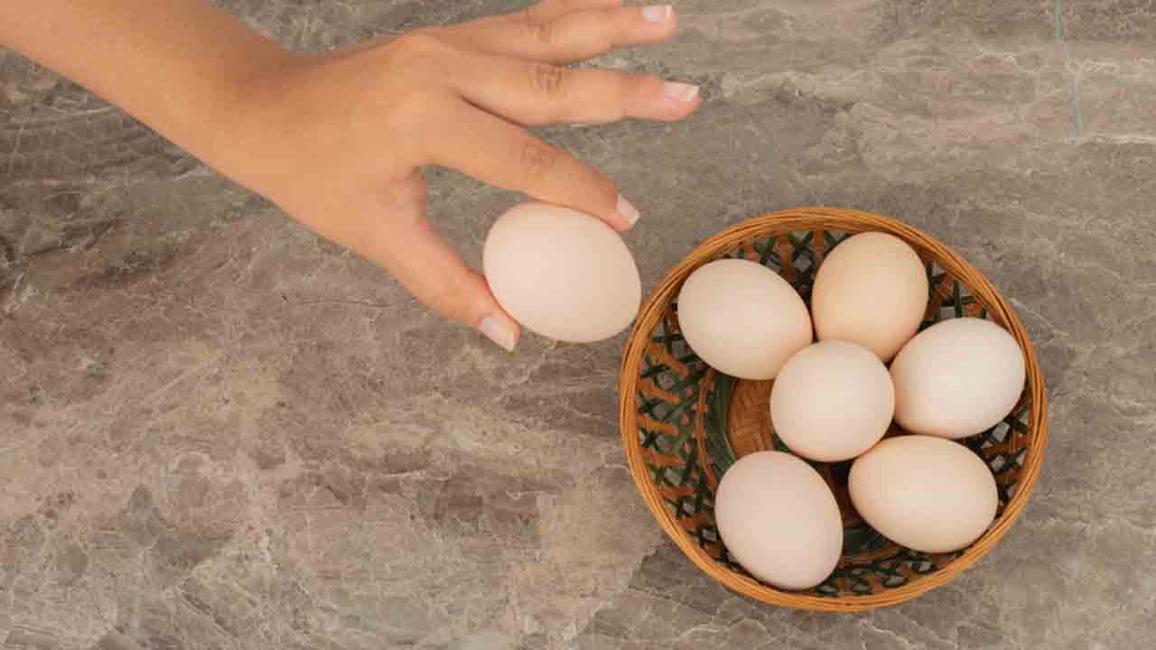 Yumurta Alerjisine “Yumurta Merdiveni” tedavisi 7