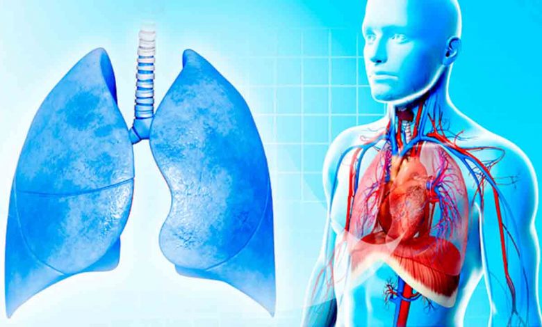 Atelektazi nedir? Nasıl tedavi edilir? 1