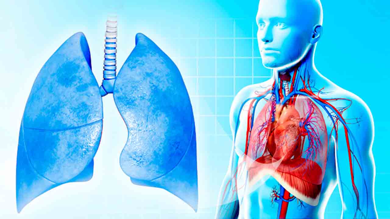 Atelektazi nedir? Nasıl tedavi edilir? 6