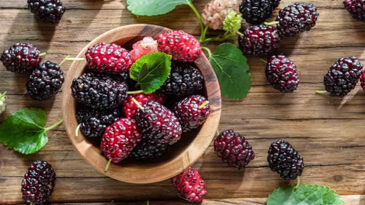 Dutun faydaları ve zararları nedir 6