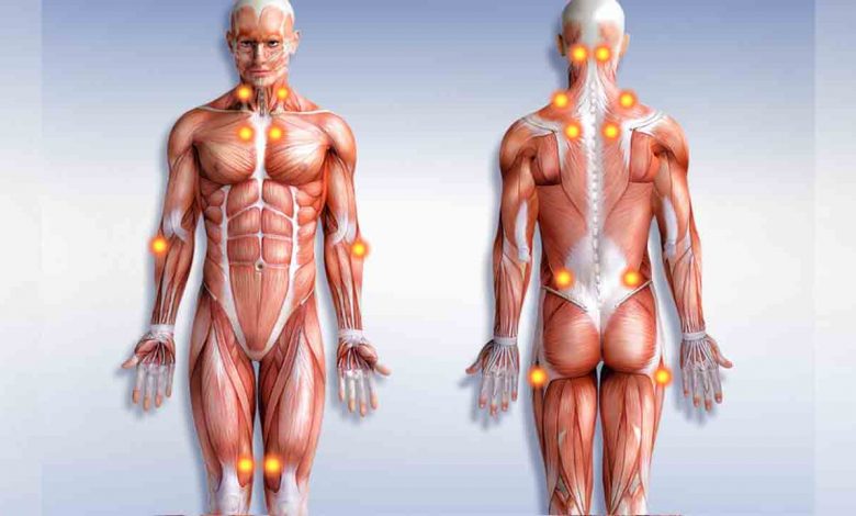 Fibromiyalji sendromu nedir? 1
