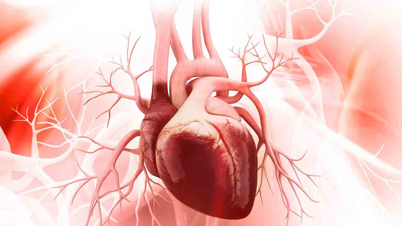 Kalp Ameliyatı sonrası dikkat edilmesi gereken 6 Nokta 7