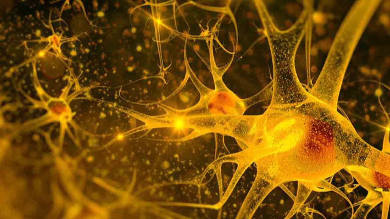 Kök Hücre nakliyle gelen ikinci yaşam şansı 7